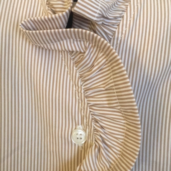 NY&CO Tan/White Pinstripe Stretch - Picture 4 of 5